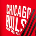 Pánská mikina s kapucí adidas NBA Chicago Bulls AH5057