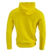 Pánská mikina s kapucí Puma T7 Borussia Dortmund 74191891