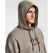 Pánská Mikina Under Armour 12/1 Pack Hoodie hnědá