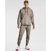 Pánská Mikina Under Armour 12/1 Pack Hoodie hnědá