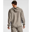 Pánská Mikina Under Armour 12/1 Pack Hoodie hnědá