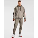 Pánská Mikina Under Armour 12/1 Pack Hoodie hnědá