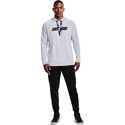 Pánská Mikina Under Armour BASELINE P/O HOODY šedá