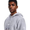 Pánská Mikina Under Armour EMBIID SIGNATURE HOODY šedá