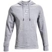 Pánská Mikina Under Armour EMBIID SIGNATURE HOODY šedá