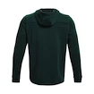 Pánská Mikina Under Armour Pjt Rock Terry Snake HD zelená