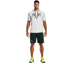 Pánská Mikina Under Armour PROJECT ROCK CC SS HD šedá Halo Gray