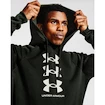 Pánská Mikina Under Armour Rival Flc Multilogo HD zelená