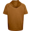 Pánská Mikina Under Armour Rival Flc Multilogo SS HD žlutá