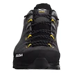 Pánská outdoorová obuv Salewa  ALP Trainer 2 Gtx M Onyx/Black