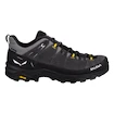 Pánská outdoorová obuv Salewa  ALP Trainer 2 Gtx M Onyx/Black
