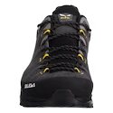 Pánská outdoorová obuv Salewa  ALP Trainer 2 Gtx M Onyx/Black
