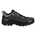 Pánská outdoorová obuv Salewa  ALP Trainer 2 Gtx M Onyx/Black