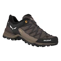 Pánská outdoorová obuv Salewa  MS MTN Trainer Lite Gtx  Wallnut/Fluo Orange