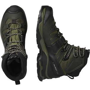 Pánská outdoorová obuv Salomon Quest 4 Gore-Tex Olive Night/Peat/Safari  UK 9