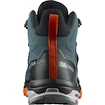 Pánská outdoorová obuv Salomon X ULTRA 4 MID GTX Stargazer/Black/S