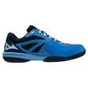 Pánská sálová obuv Mizuno  Wave Claw 2