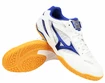 Pánská sálová obuv Mizuno  Wave Drive 8 White/Blue