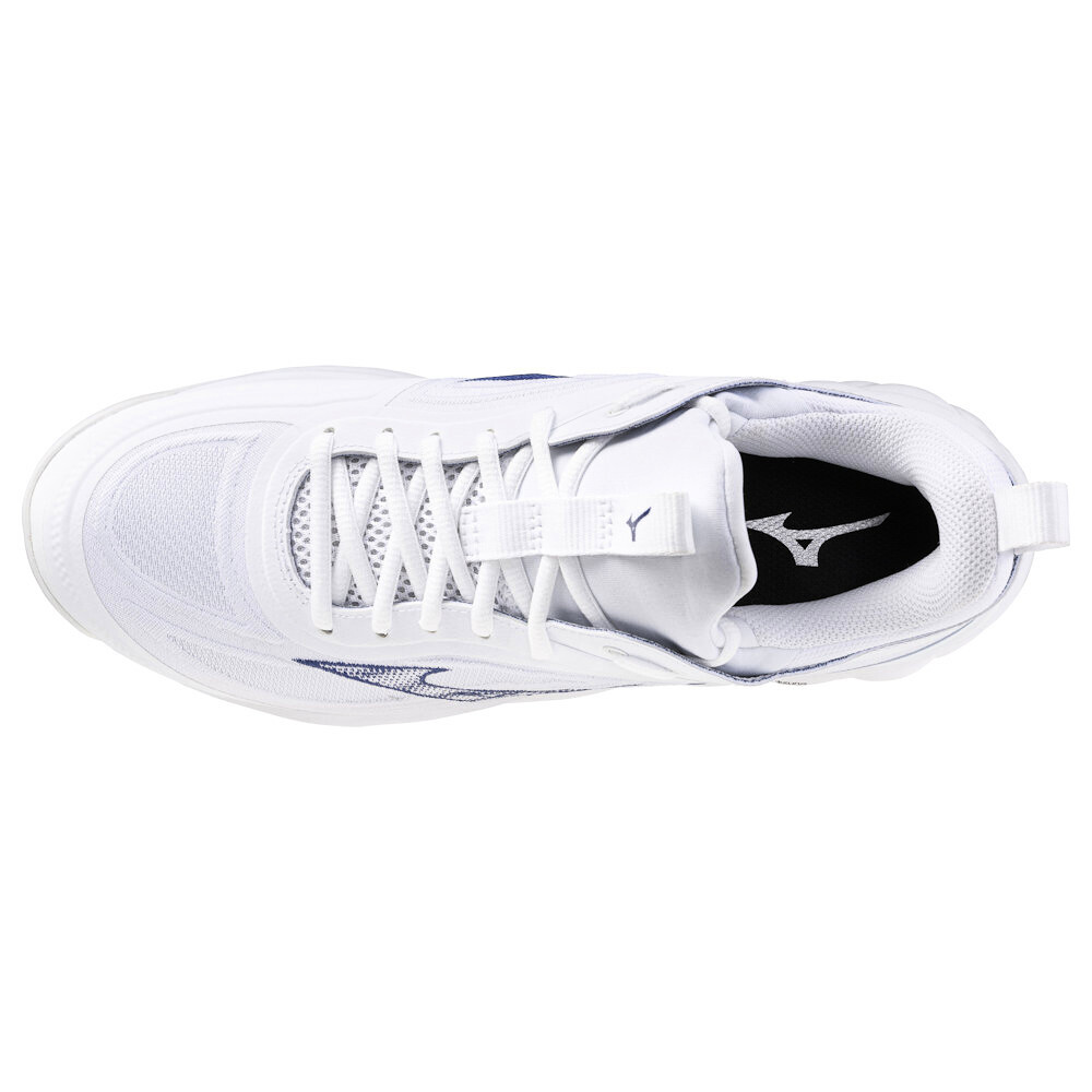 Pánská sálová obuv Mizuno  Wave LUMINOUS 3 White/Bellwether Blue  EUR 40,5 - thumb (1)