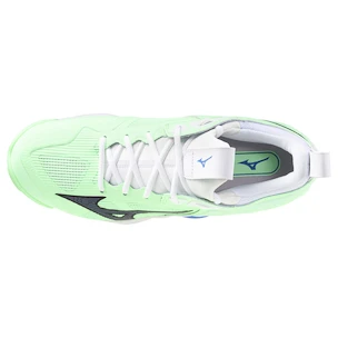 Pánská sálová obuv Mizuno  Wave MOMENTUM 3 Neo Mint/Black  EUR 44,5