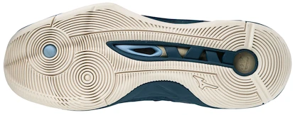 Pánská sálová obuv Mizuno Wave Momentum Blue