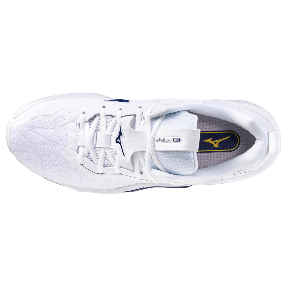 Pánská sálová obuv Mizuno  Wave STEALTH NEO 2 White/Bellwether Blue  EUR 51 - thumb (1)