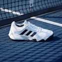 Pánská tenisová obuv adidas Solematch Control 2 Cloud White