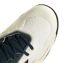 Pánská tenisová obuv adidas Solematch Control 2 White/Silver