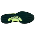 Pánská tenisová obuv Head Sprint Pro 3.5 Clay FGLN
