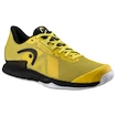Pánská tenisová obuv Head Sprint Pro 3.5 Clay MEN BNBK  EUR 40,5