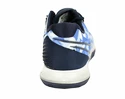Pánská tenisová obuv Nike Court Air Zoom Vapor Cage 4 Clay Royal Pulse