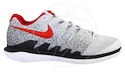 Pánská tenisová obuv Nike Zoom Vapor X Pure Platinum