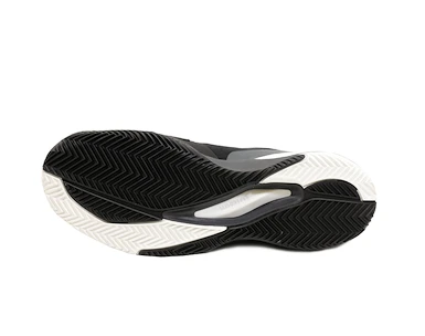 Pánská tenisová obuv Wilson Rush Pro 3.0 Clay Black/White