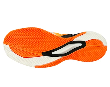 Bazar -  Pánská tenisová obuv Wilson Rush Pro  EUR 45 1/3