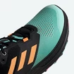 Pánské běžecké boty adidas  Terrex Two Flow 2021