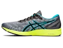 Pánské běžecké boty Asics Gel-DS Trainer 25 šedé