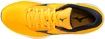 Pánské běžecké boty Mizuno Wave Rider 24 Saffron