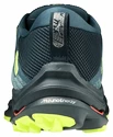 Pánské běžecké boty Mizuno  Wave Rider GTX Orion Blue/Orion Blue