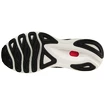 Pánské běžecké boty Mizuno  Wave Skyrise 3 Black/Silver