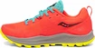 Pánské běžecké boty Saucony  Peregrine 10