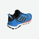 Pánské boty adidas  Terrex Skychaser 2 GTX Blue