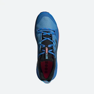 Pánské boty adidas  Terrex Skychaser 2 GTX Blue