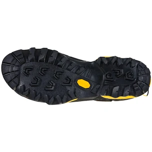 Pánské boty La Sportiva  TX 5 Low GTX Carbon/Yellow