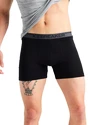 Pánské boxerky Icebreaker  Anatomica Boxers Black
