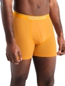 Pánské boxerky Icebreaker  Anatomica Boxers Electric/Praline
