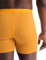 Pánské boxerky Icebreaker  Anatomica Boxers Electric/Praline