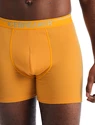 Pánské boxerky Icebreaker  Anatomica Boxers Electric/Praline
