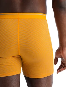Pánské boxerky Icebreaker  Anatomica Boxers Electric/Praline
