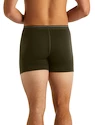 Pánské boxerky Icebreaker  Anatomica Boxers LODEN