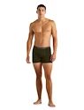 Pánské boxerky Icebreaker  Anatomica Boxers LODEN